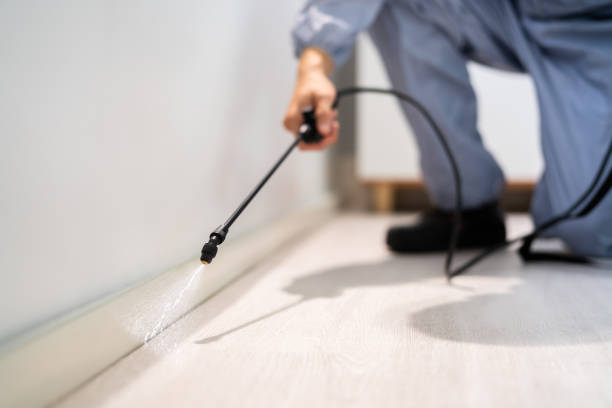Licensed Termite Control service in Owings, MD - Show Me Pest Control