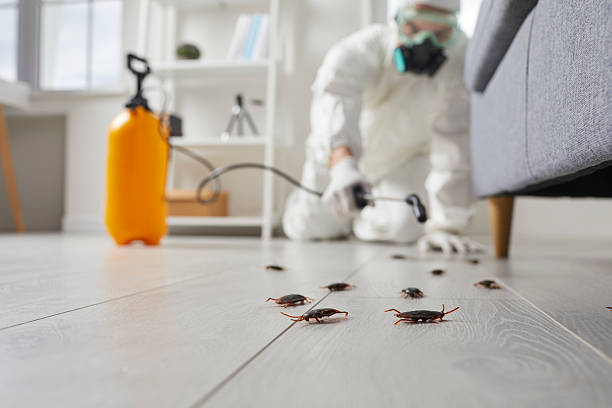 Post-Treatment Bed Bug Interceptor Monitoring in Owings