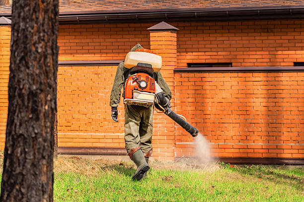 Bed Bug Clearance Verification and Documentation in Owings